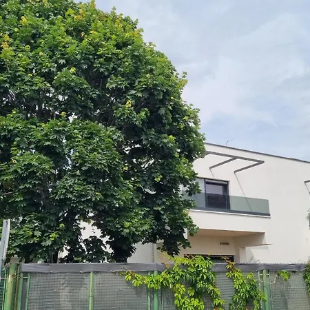Maslina House - Family 1 With Pool Apartamento